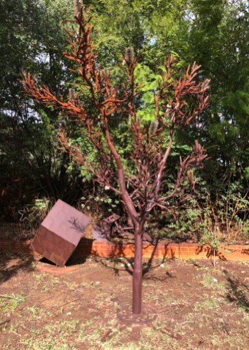 F000120 Banksia tree